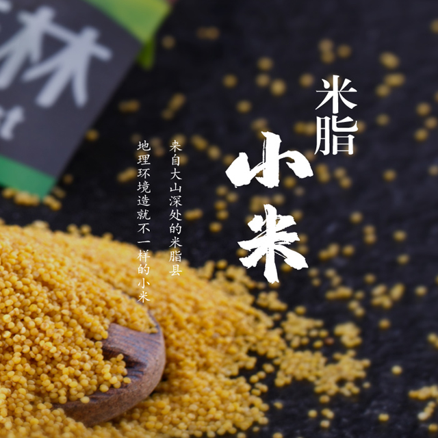 野森林網(wǎng)站建設(shè)案例